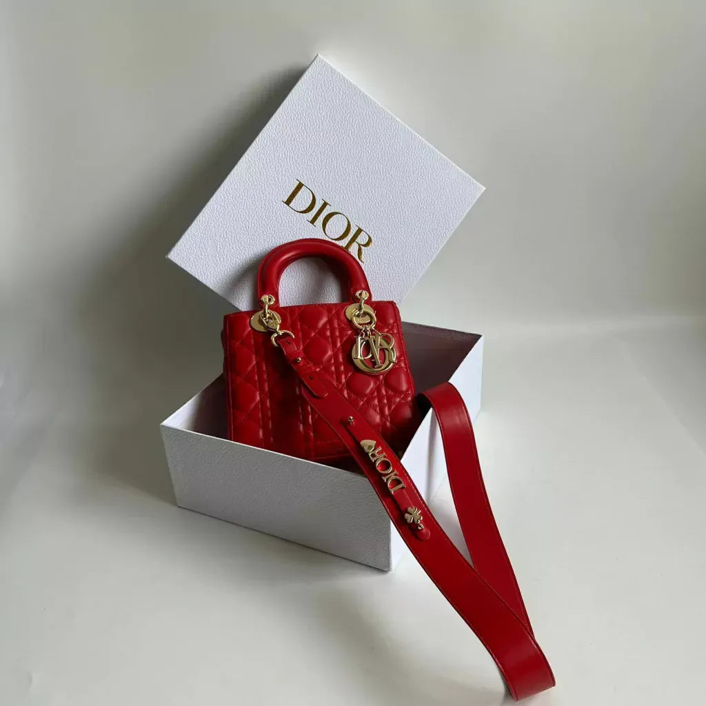 MINI LADY DIOR TASCHE
